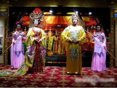 科学实验室:直击机器人世界