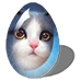雪绒灵猫蛋